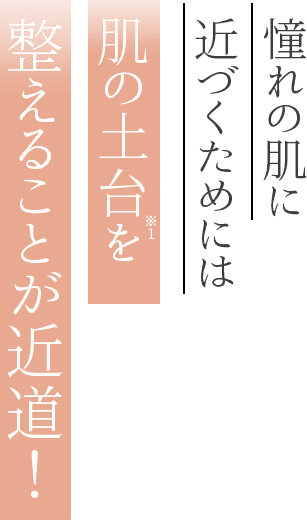 憧れの肌に近づくためには