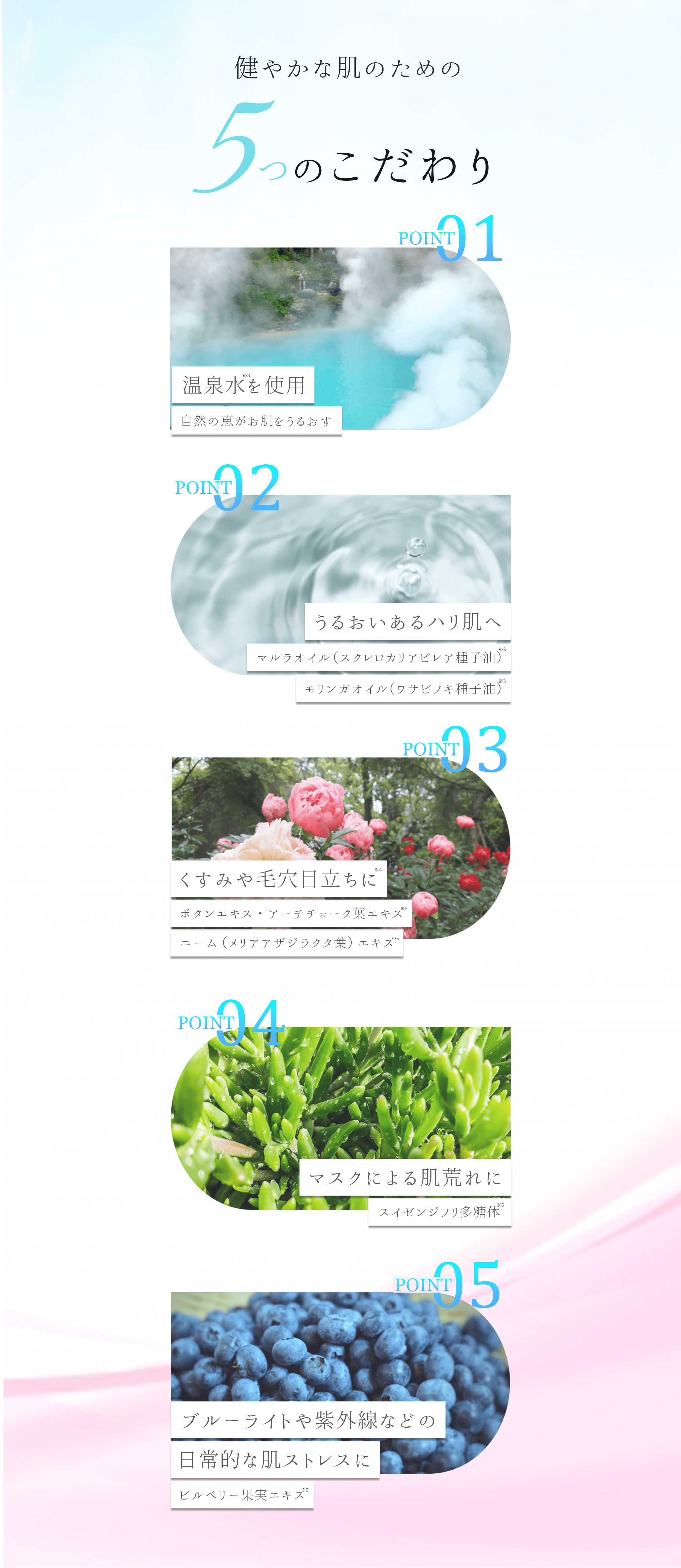5つのこだわり